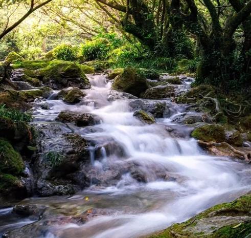 介绍贵州五天跟团游分享去玩5天行程凯发k8登录vip贵州淡季旅游费用(图3)